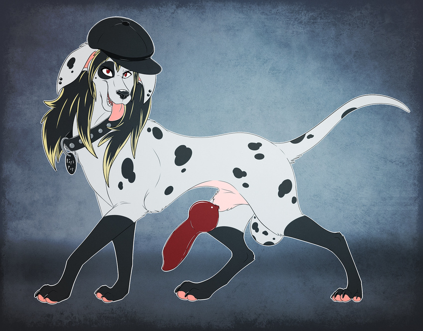 2017 4_toes anatomically_correct animal_genitalia ashley balls canine claws collar dalmatian digital_media_(artwork) digitigrade dog erection fangs feral fur girly hair hat hi_res male mammal open_mouth pawpads paws penis psy101 simple_background smile solo spots spotted_fur tag toes tongue tongue_out white_fur