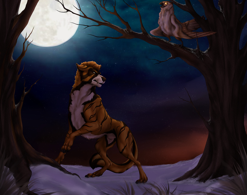 avian bird black_nose brown_fur canine charlottechambers detailed_background digital_media_(artwork) digitigrade dire_wolf fur mammal night orange_fur outside sky snow standing star starry_sky tree wolf