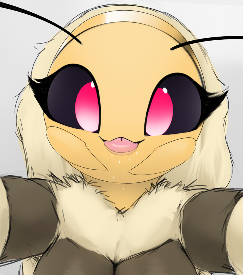anthro arthropod bee biped blep blossom_(thousandfoldfeathers) breasts female fur hi_res hymenopteran insect looking_at_viewer non-mammal_breasts pink_eyes solo thousandfoldfeathers tongue tongue_out yellow_body yellow_fur