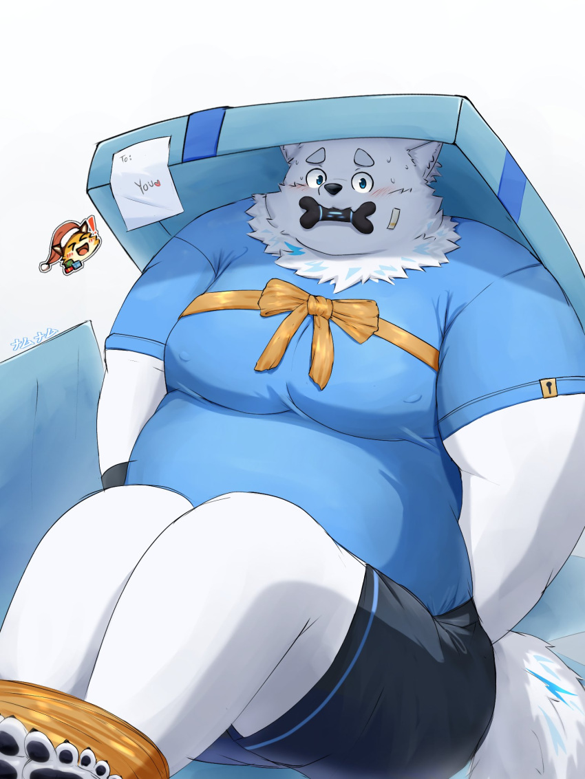 2023 anthro belly big_belly blush bodily_fluids bottomwear bound canid canine canis clothing domestic_dog fur gift harumuname hi_res kemono lifewonders live_a_hero male mammal overweight overweight_male shirt shorts sitting sweat topwear white_body white_fur yohack