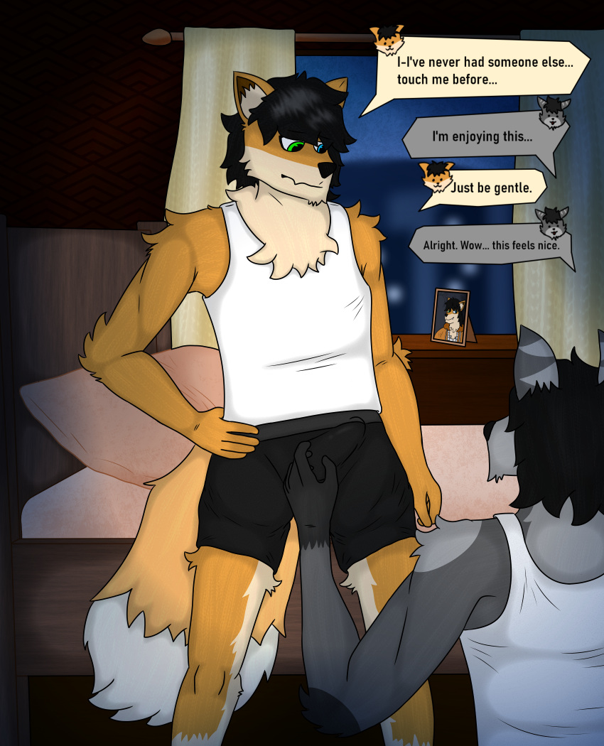 anthro bed bedroom black_hair boxers_(clothing) bulge canid canine canis chest_tuft city city_background clothing curtains dialogue duo earthwormgd earthy fox furniture genitals hair heterochromia hi_res kneeling looking_at_another male male/male mammal penis pillow portrait_(object) shirt standing tank_top topwear touching_penis tuft underwear verstace window wolf