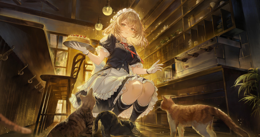 1girl absurdres apron black_footwear black_skirt boots braid braided_bangs cake cat chair ergouzi_echo food frilled_apron frilled_hairband frilled_skirt frills g36_(girls'_frontline) girls'_frontline girls'_frontline_2:_exilium gloves hairband highres holding holding_tray indoors looking_at_viewer maid maid_apron maid_headdress medium_hair neck_ribbon official_art parted_lips pleated_skirt puffy_short_sleeves puffy_sleeves red_ribbon ribbon short_sleeves skirt solo squatting tray white_apron white_gloves white_headdress