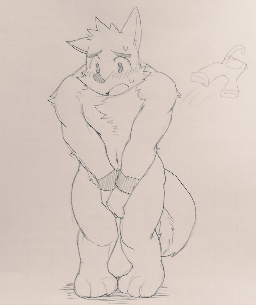 canine clothing cotton_(artist) male mammal muscular nude overalls shy sketch solo tuft wolf wristband wuffle wuffle_(webcomic)