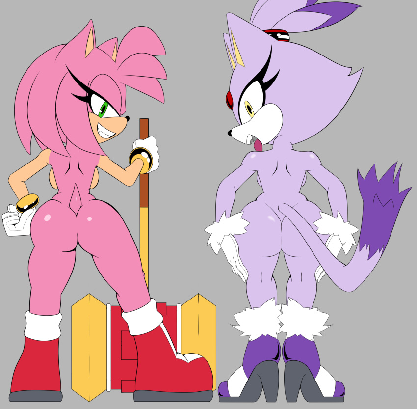 absurd_res amy_rose anthro big_butt blaze_the_cat butt deliciouscake domestic_cat duo eulipotyphlan felid feline felis female hedgehog hi_res looking_at_viewer looking_back mammal presenting sega simple_background sonic_the_hedgehog_(series) thecakeee thick_thighs