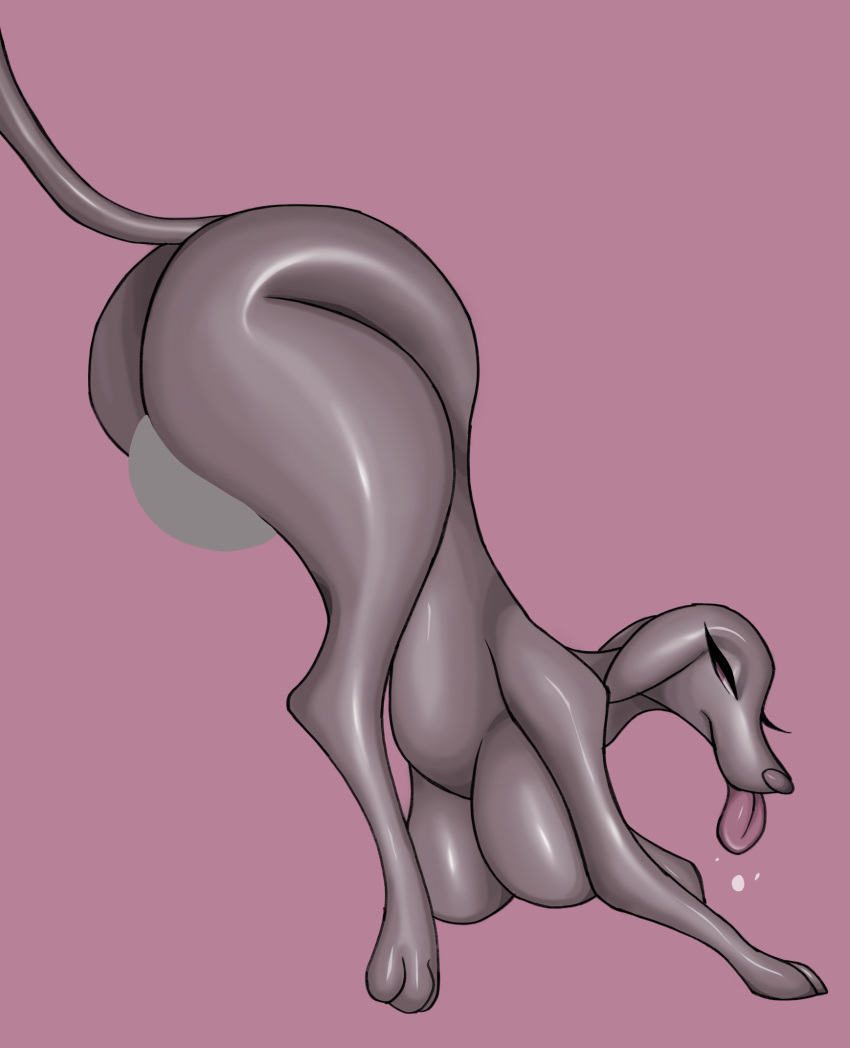 big_breasts big_butt breasts butt canid canine canis domestic_dog ears_down face_on_butt female feral grey_body hi_res humanoid_genitalia_on_feral looking_back mammal open_mouth pivoted_ears rentressy solo tail thick_thighs tongue tongue_out weimaraner