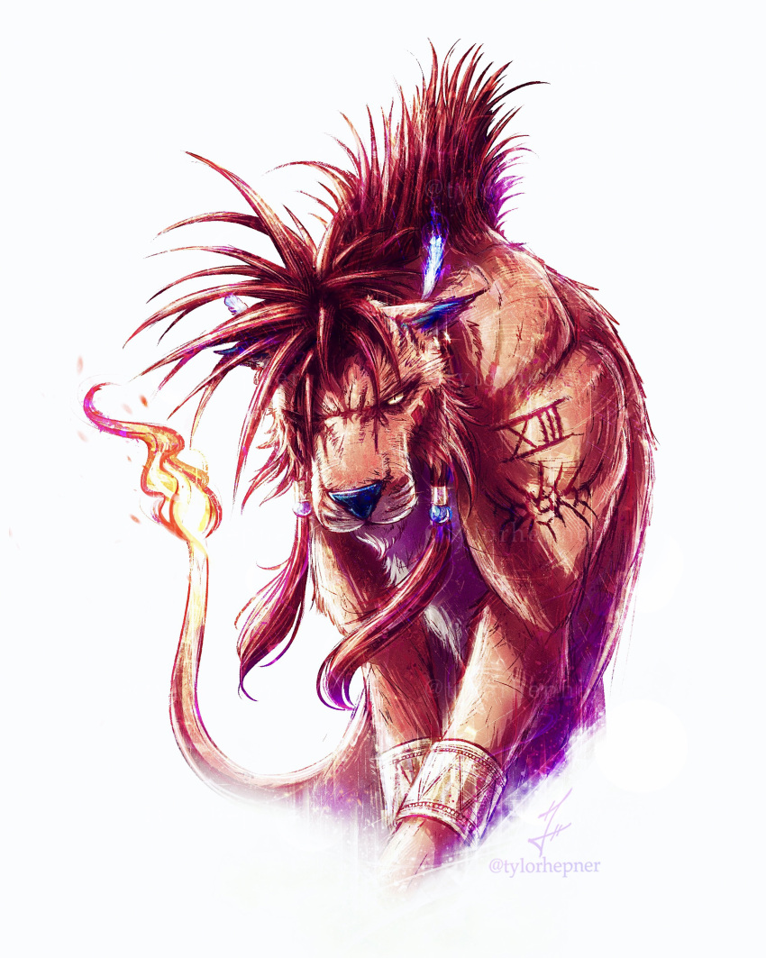 1boy absurdres animal animal_focus arm_tattoo beads bracelet commentary english_commentary feathers final_fantasy final_fantasy_vii final_fantasy_vii_rebirth final_fantasy_vii_remake flame-tipped_tail hair_beads hair_ornament highres instagram_username jewelry looking_at_viewer no_humans red_fur red_hair red_xiii scar scar_across_eye signature simple_background tattoo tylor_hepner whiskers white_background yellow_eyes