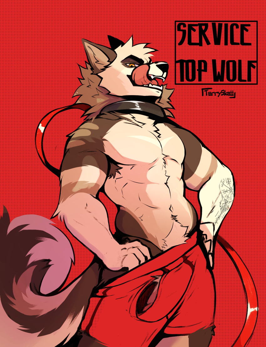 absurd_res anthro boxer_briefs canid canine clothing collar hi_res leash looking_down male mammal service_top simple_background sinster solo tattoo teeth_showing terryskaii_(artist) tongue tongue_out underwear