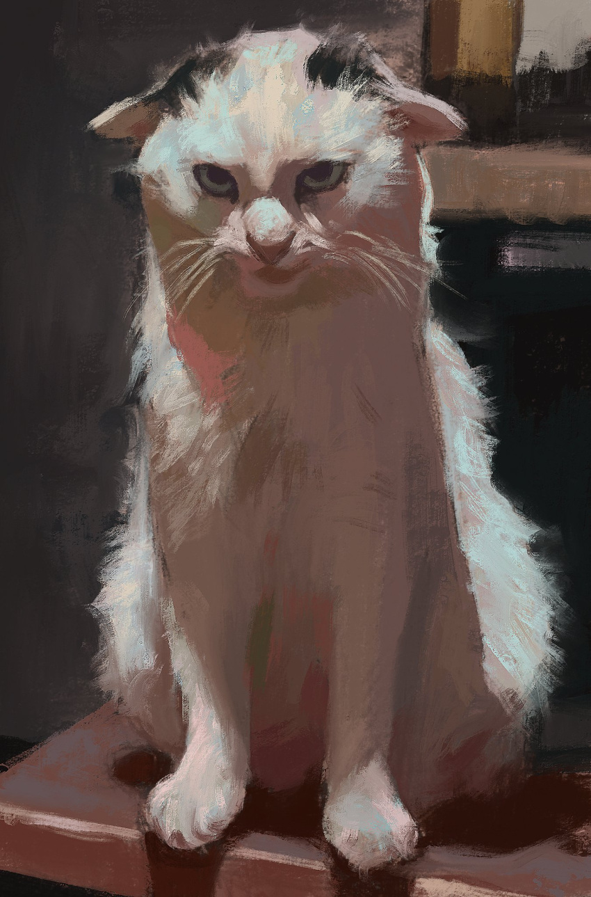 2024 ambiguous_gender detailed_background digital_media_(artwork) digital_painting_(artwork) domestic_cat felid feline felis feral fur grumpy hi_res inside looking_at_viewer mammal photorealism procreate realistic sergiart shaded sitting solo tan_body tan_fur whiskers