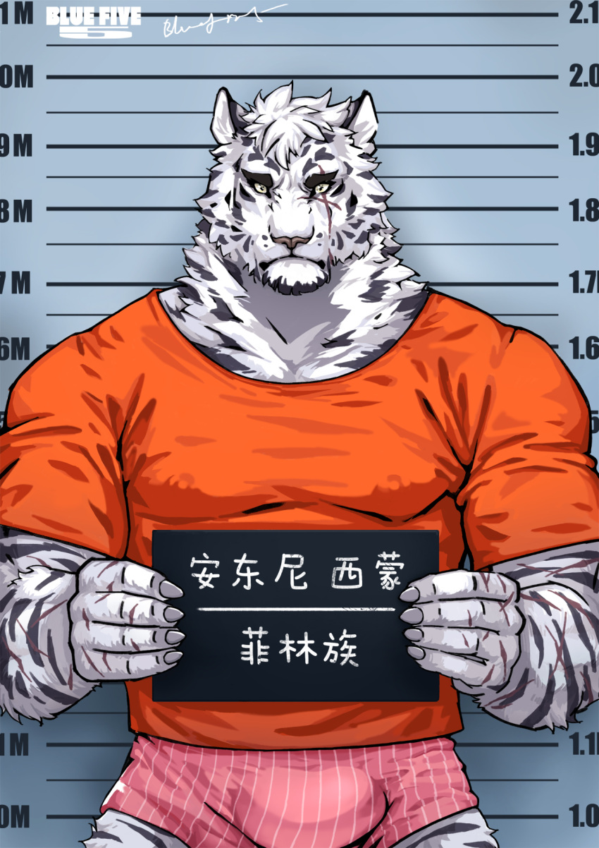 1boy animal_ears arknights bara blue563619 boxers bulge character_name cowboy_shot facial_hair furry furry_male goatee height_mark highres holding holding_sign large_pectorals looking_at_viewer male_focus male_underwear mountain_(arknights) mugshot muscular muscular_male no_pants pectorals pink_male_underwear prison_clothes prisoner scar scar_across_eye scar_on_arm short_hair sign solo straight-on striped_male_underwear thick_eyebrows tiger_boy tiger_ears underwear white_hair