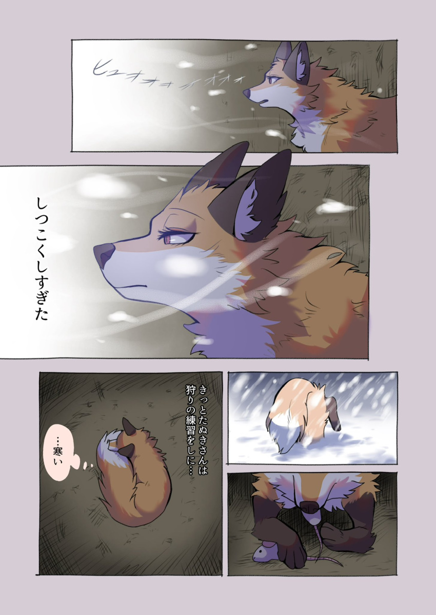 2024 black_nose brown_ears canid canine cheek_tuft comic countershading dialogue digital_media_(artwork) dipstick_tail eating eyelashes facial_tuft female feral fluffy fluffy_tail food_in_mouth fox fur gloves_(marking) hi_res inner_ear_fluff inside japanese_text kurumilky6 leg_markings mammal markings mikan_(kurumilky6) mouse multicolored_body multicolored_fur multiple_scenes murid murine orange_body orange_fur orange_tail outside prick_ears quadruped red_eyes rodent snow snowing socks_(marking) solo speech_bubble tail tail_markings text tuft white_body white_fur white_inner_ear_fluff white_tail_tip