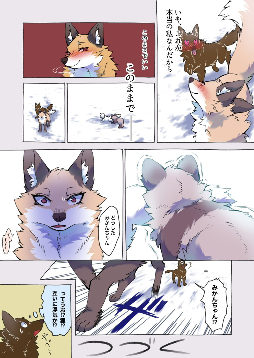 2024 ambiguous_gender black_nose blush brown_body brown_ears brown_fur brown_tail_tip canid canine cheek_tuft comic countershading cuddling dialogue digital_media_(artwork) dipstick_tail eyelashes facial_tuft female female/ambiguous feral fluffy fluffy_tail fox fur gloves_(marking) group hakuri_(kurumilky6) hi_res inner_ear_fluff japanese_text kurumilky6 leg_markings mammal marimo_(kurumilky6) markings mikan_(kurumilky6) monotone_body monotone_fur multicolored_body multicolored_fur orange_body orange_fur orange_tail outside prick_ears quadruped raccoon_dog red_eyes seductive silhouetted_body snow socks_(marking) speech_bubble tail tail_markings tan_body tan_fur tanuki text tuft two_tone_body two_tone_fur unnamed_character white_body white_fur white_inner_ear_fluff white_tail white_tail_tip