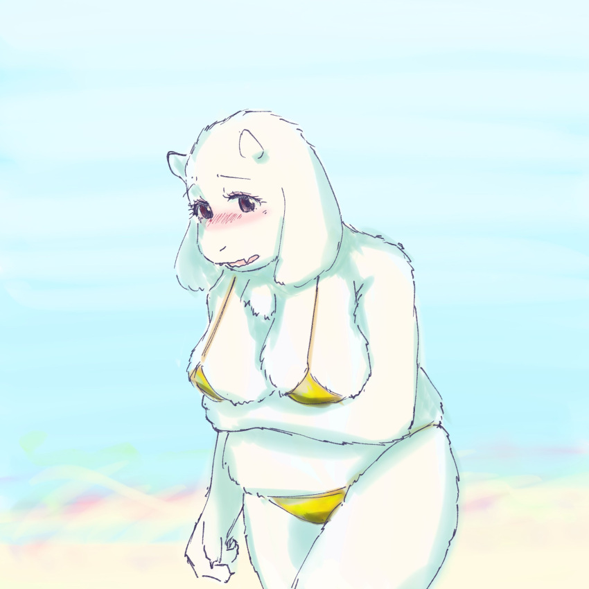 2024 anthro beach bikini blurred_background blush boss_monster_(undertale) bovid breasts caprine clothing embarrassed female fur goat gold_bikini hi_res komm64 mammal seaside solo swimwear toriel undertale_(series) white_body white_fur