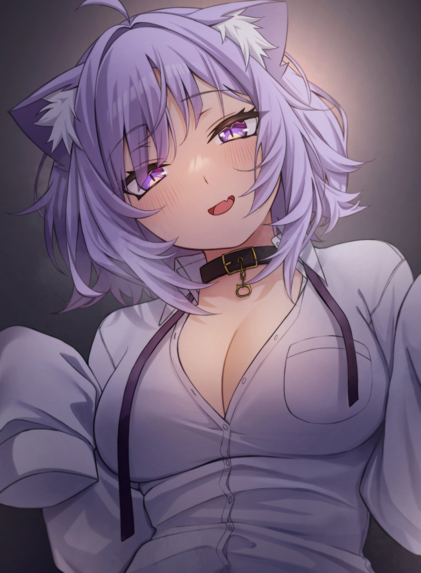 1girl :d ahoge animal_collar animal_ear_fluff animal_ears black_collar blunt_bangs blush breasts cat_ears cat_girl cleavage collar collared_shirt diagonal_bangs dress_shirt fang head_tilt highres hololive large_breasts long_sleeves looking_at_viewer medium_hair messy_hair neck_ribbon nekomata_okayu nekomata_okayu_(oversized_shirt) no_bra official_alternate_costume official_alternate_hairstyle partially_unbuttoned purple_eyes purple_hair purple_ribbon ribbon shirt skin_fang sleeves_past_fingers sleeves_past_wrists smile solo tenpa_illust upper_body virtual_youtuber white_shirt