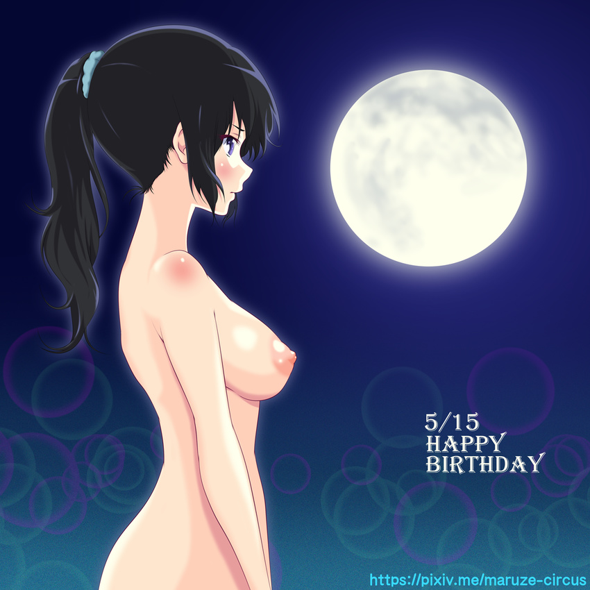 areolae artist_name blue_scrunchie breasts dated hair_ornament hair_scrunchie hair_tie happy_birthday hibike!_euphonium high_ponytail highres kousaka_reina large_breasts lens_flare long_hair looking_away maruze_circus moon moonlight nape night night_sky nipples nude ponytail profile purple_eyes scrunchie shoulder_blush sky solo tied_hair upper_body