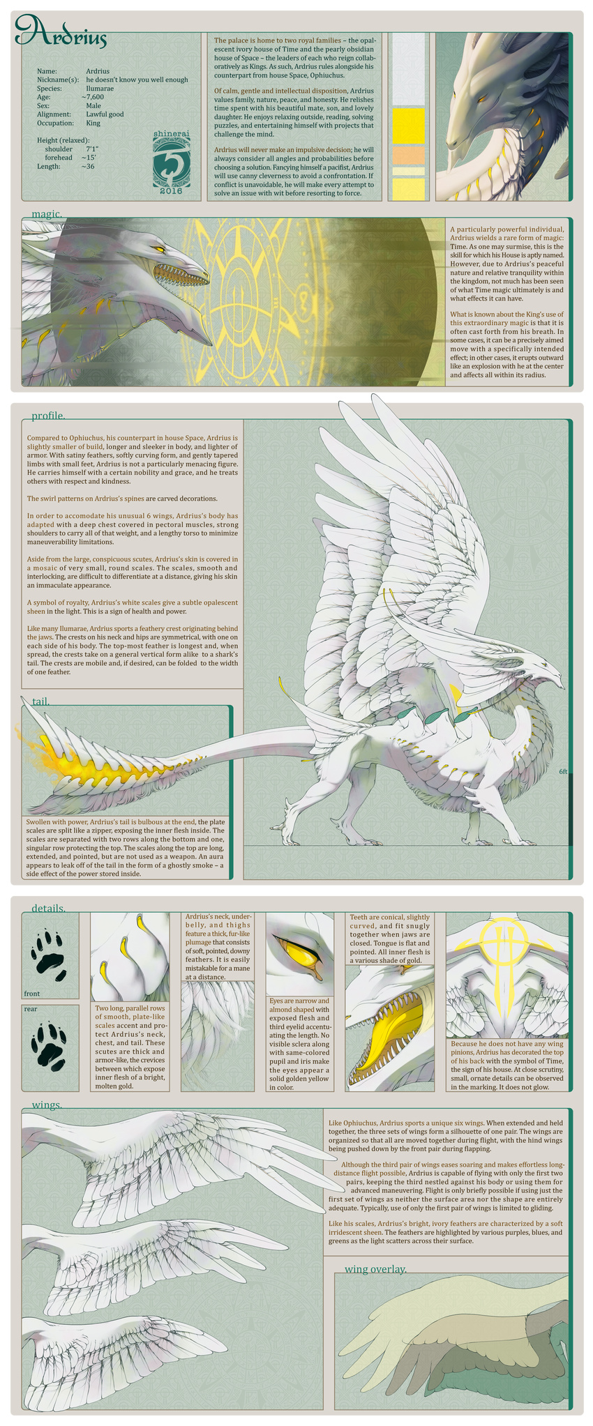 2016 animal_genitalia claws digital_media_(artwork) dragon feathered_dragon feathered_wings feathers feral male model_sheet open_mouth sheath shinerai solo standing teeth white_feathers wings yellow_eyes