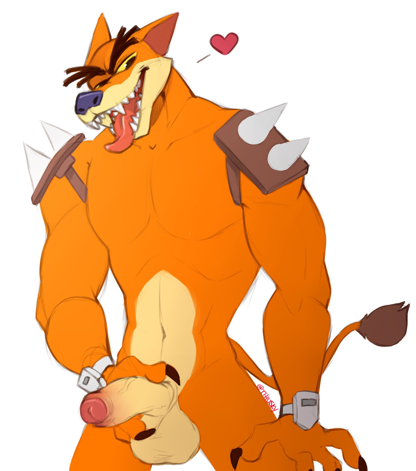 &lt;3 2017 abs anthro balls biceps claws crash_bandicoot_(series) digital_drawing_(artwork) digital_media_(artwork) erection fur hi_res humanoid_penis male mammal marsupial muscular muscular_male open_mouth orange_fur penis sharp_teeth shoulder_pads simple_background smile solo spazzyhusky spikes teeth thylacine tiny_tiger tongue tongue_out vein veiny_penis video_games white_background