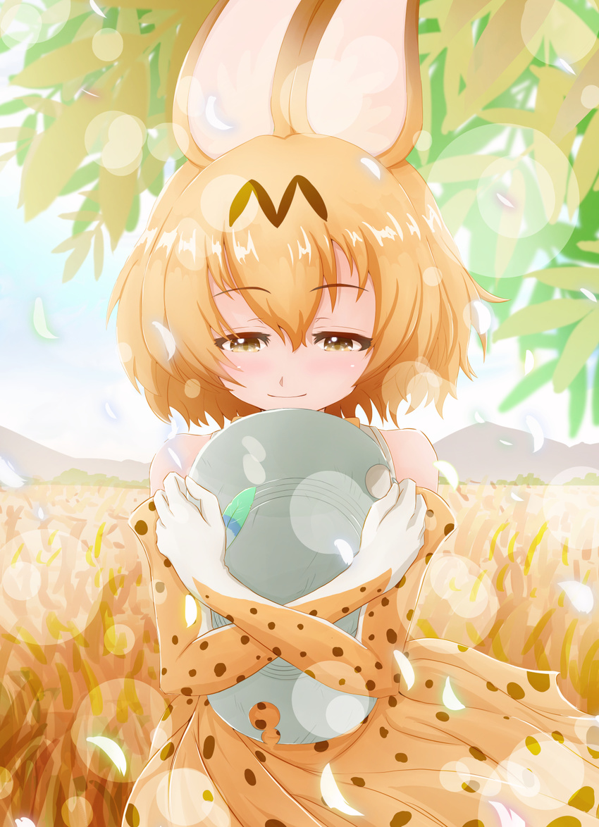 animal_ears bare_shoulders blonde_hair blush brown_eyes closed_mouth day elbow_gloves eyebrows_visible_through_hair gloves grass hair_between_eyes hat hat_feather helmet high-waist_skirt highres kemono_friends lens_flare object_hug outdoors pandemic14 pith_helmet plant savannah serval_(kemono_friends) serval_ears serval_print shirt short_hair skirt sleeveless sleeveless_shirt smile solo white_shirt wind