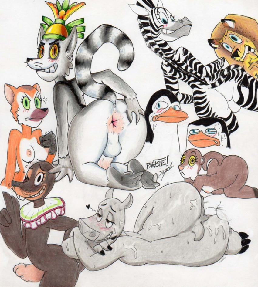 alex_the_lion all_hail_king_julien anthro anus avian balls bird breasts clover_(madagascar) equine feline female gloria_(madagascar) hippopotamus king_julien kowalski lemur lion madagascar male mammal marine marlene marty_the_zebra mustelid otter parasitedeath penguin penis pinniped primate sea_lion skipper stefano_the_sea_lion the_penguins_of_madagascar zebra