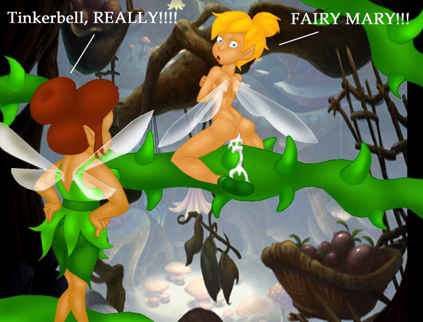 fairy_mary peter_pan tagme tinker_bell vlade