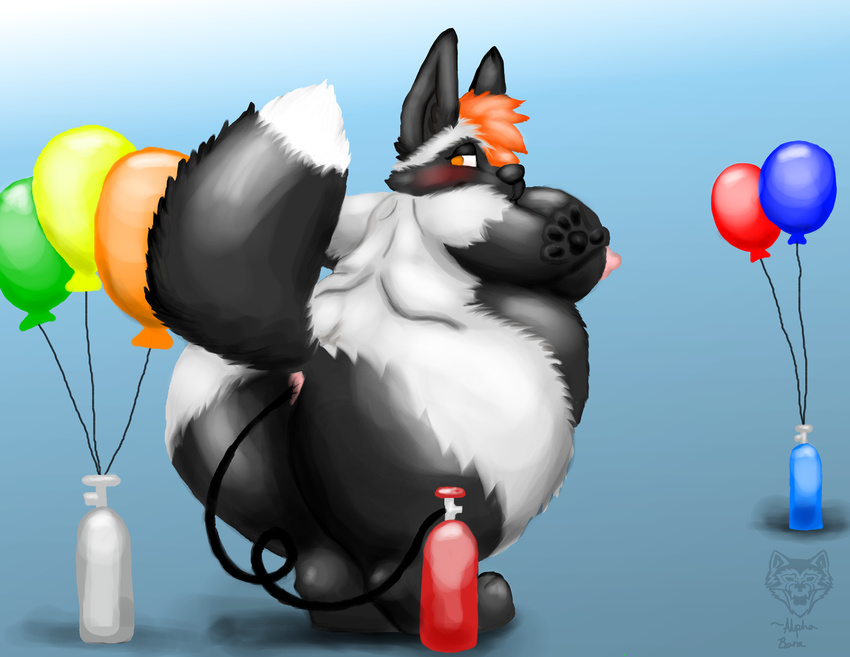 alpha_bane alphabane anus balloon butt cadence canine female fox helium inflation mammal nipples overweight