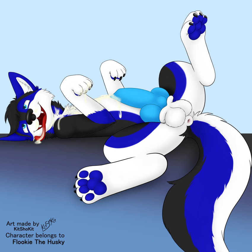 balls butt canine cum dog excited flookie hole_(disambiguation) husky invalid_tag kitshokit knot male male/male mammal paws penis satisfied smile tongue wet ych