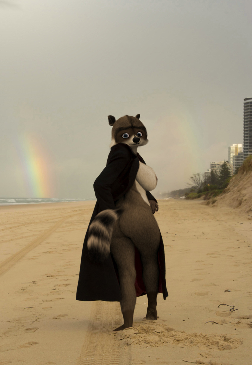 anthro anthrofied beach big_breasts big_butt blue_eyes breasts brown_fur butt crossgender dreamworks edit feet female fur looking_at_viewer mammal nipples over_the_hedge overcast oystercatcher7 photo_manipulation photomorph raccoon rainbow rj_(over_the_hedge) seaside sky solo striped_tail stripes tan_fur voluptuous