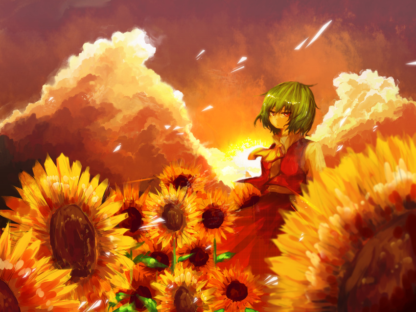 ascot bad_id bad_pixiv_id cloud expressionless field flower flower_field green_hair kaio_(watagami) kazami_yuuka nature plaid plaid_skirt plaid_vest red_eyes scenery skirt skirt_set solo standing sunflower sunset touhou vest