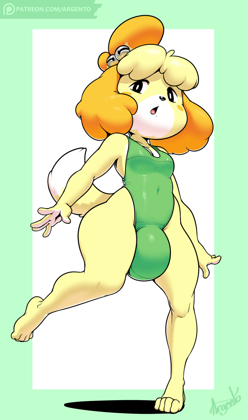 animal_crossing argento barefoot breasts bulge canine clothing dickgirl dog intersex isabelle_(animal_crossing) mammal nintendo small_breasts swimsuit video_games