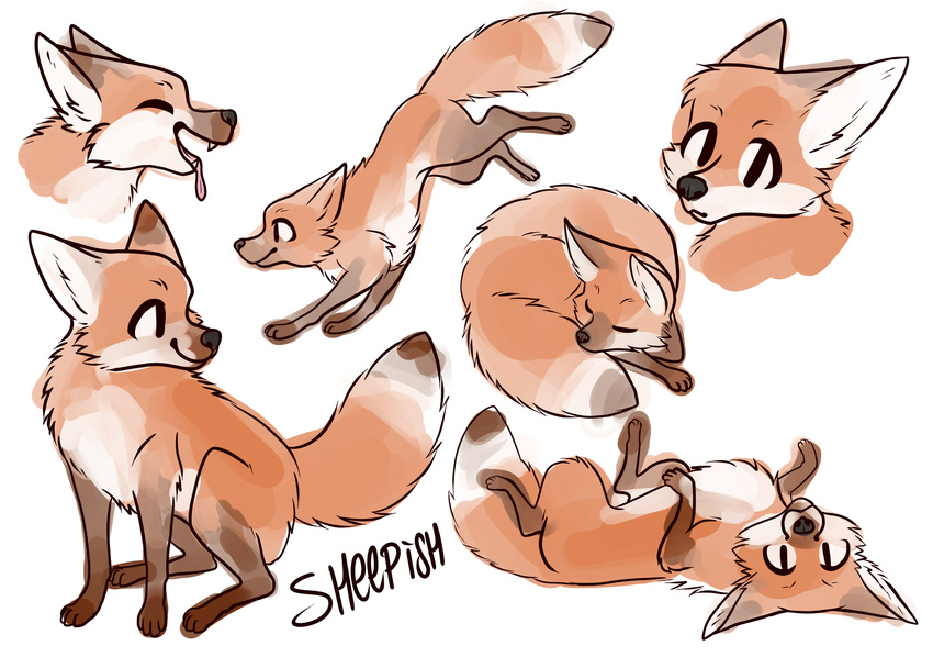 canine character_concept cute fox mammal multiple_poses pose red_fox sheepish vulpes_vulpes