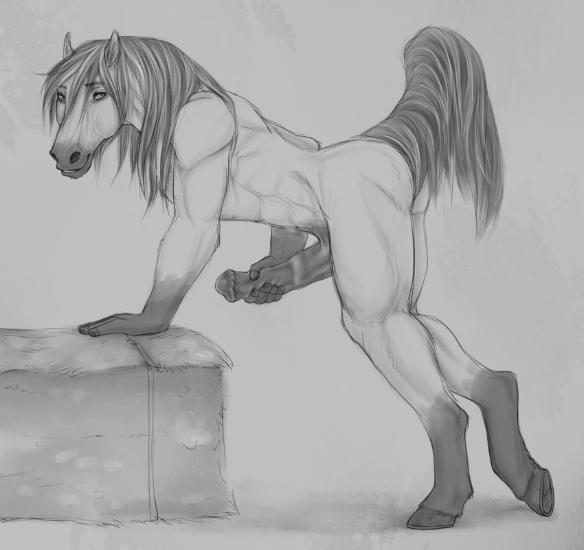 2017 andalusian animal_genitalia animal_penis anthro bent_over black_and_white butt digital_drawing_(artwork) digital_media_(artwork) equine equine_penis flared_penis hay hay_bale holding_penis hooves horse jericho_(ulfhednar) looking_at_viewer male mammal mane masturbation monochrome nude penile_masturbation penis raised_tail side_view simple_background sketch smile solo white_background yaroul