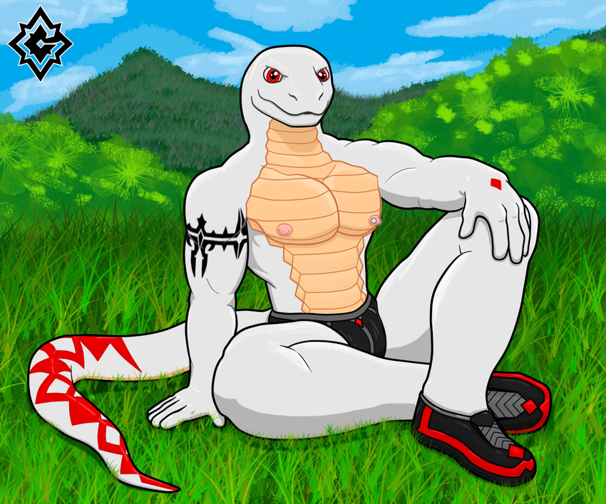 2017 albino anthro athletic boa_(disambiguation) clothing cuntboy cuntboy/male digital_media_(artwork) footwear gaeltherus grass hybrid intersex intersex/male light_k._blackwood looking_at_viewer male mamba manly markings muscular muscular_cuntboy nipples pecs piercing red_eyes reptile scalie shoes sitting sky snake solo tattoo underwear