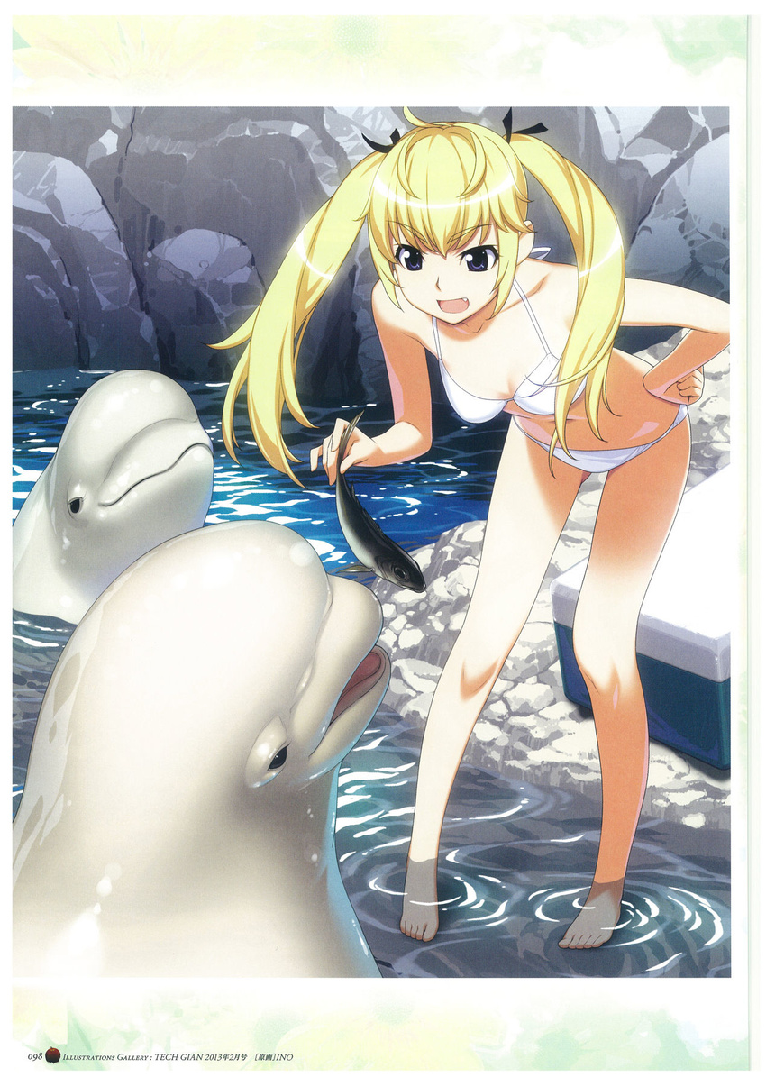 1girl bikini black_ribbon blonde_hair blue_eyes breasts cleavage collarbone day dolphin eyebrows_visible_through_hair fang grisaia_(series) hair_ribbon hand_on_hip highres leaning_forward long_hair matsushima_michiru navel open_mouth page_number ribbon scan small_breasts soaking_feet solo swimsuit twintails watanabe_akio water white_bikini