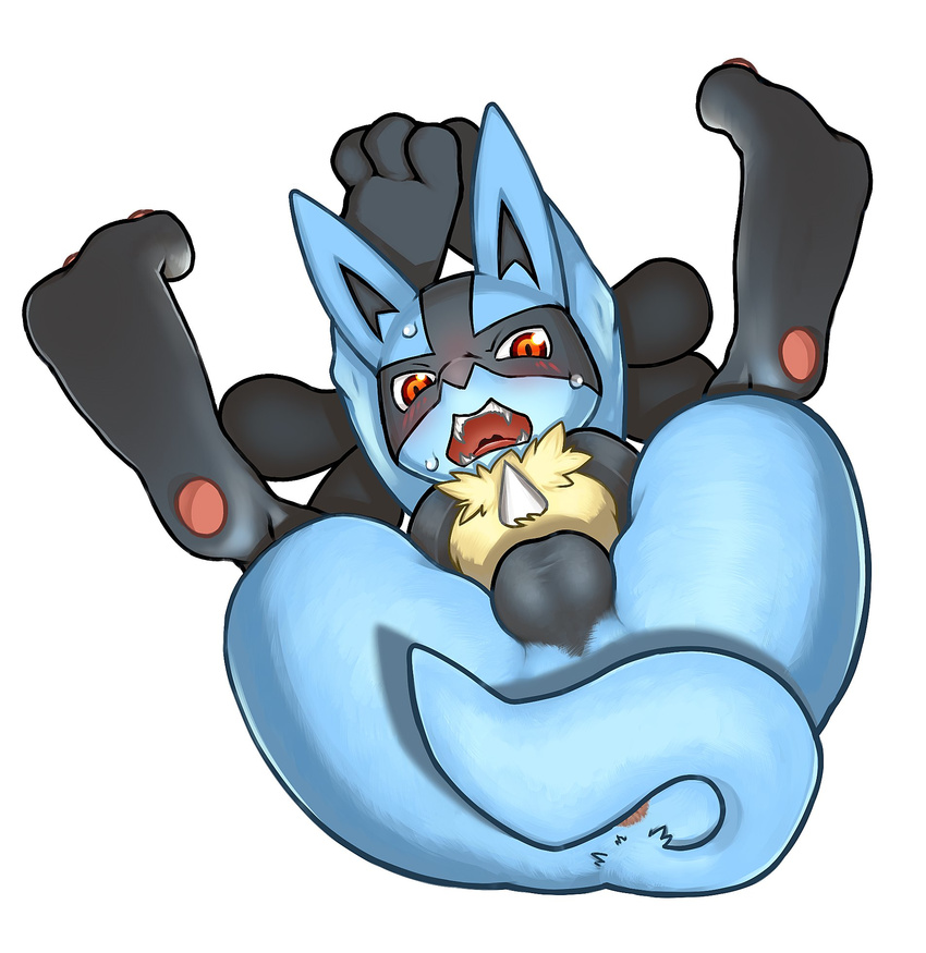 anus backsack balls blue_fur blush butt censored convenient_censorship feral fur haganedon hands_behind_head ineffective_censorship legs_up looking_at_viewer lucario lying male nintendo on_back open_mouth pok&eacute;mon presenting presenting_hindquarters red_eyes solo sweat tail_censorship teeth video_games