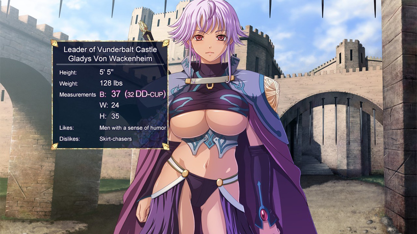 breasts cape character_profile dark_skin gladys_von_walkenheim kyonyuu_fantasy large_breasts panties purple_hair red_eyes revealing_clothes shoulder_guards sword underboob