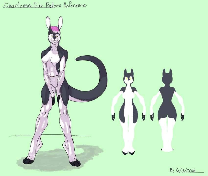 2016 absurd_res anthro breasts digital_media_(artwork) featureless_breasts female flyingram hi_res kangaroo looking_away mammal marsupial model_sheet simple_background smile standing