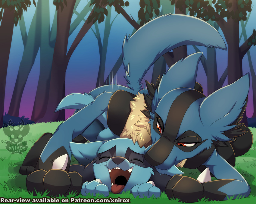 2017 all_fours amber_eyes ambiguous_gender ambiguous_penetration bite blue_fur cub doggystyle duo ear_biting eyes_closed feral forest from_behind_(disambiguation) from_behind_position front_view fur grass half-closed_eyes happy happy_sex looking_pleasured lucario lying male male/ambiguous nintendo open_mouth patreon penetration pok&eacute;mon riolu sex tree video_games xnirox young