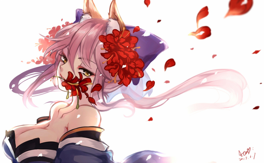 animal_ears breasts cleavage collarbone dated detached_sleeves fate/extra fate_(series) flower flower_in_mouth fox_ears hair_flower hair_ornament hair_ribbon japanese_clothes large_breasts long_hair looking_at_viewer looking_to_the_side petals pink_hair puyue ribbon signature simple_background solo tamamo_(fate)_(all) tamamo_no_mae_(fate) white_background yellow_eyes