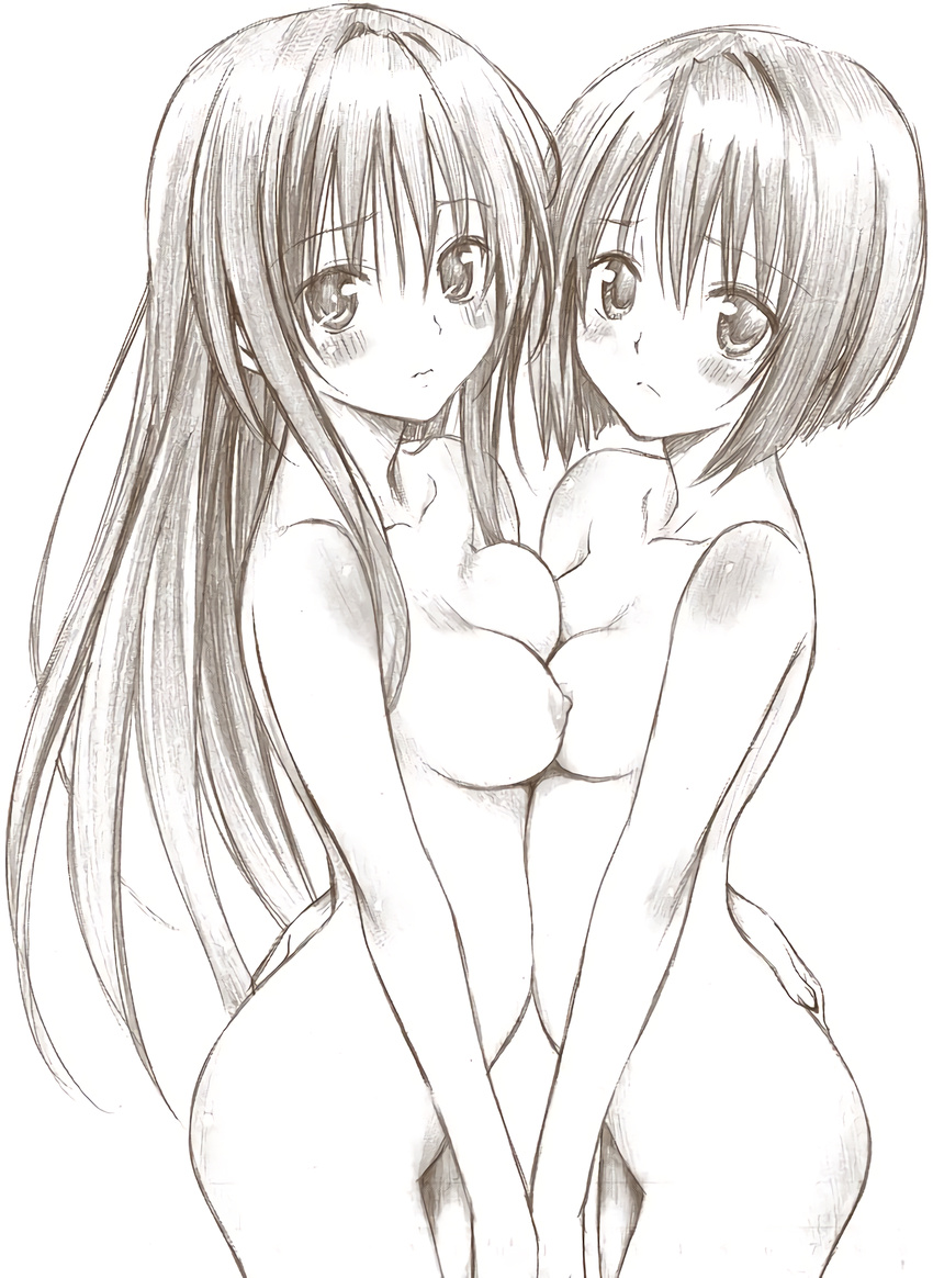 ass blush breast_press breasts cleavage hand_on_another's_ass highres holding_hands kotegawa_yui long_hair medium_breasts monochrome multiple_girls nipples nude official_art sairenji_haruna short_hair sketch small_breasts symmetrical_docking to_love-ru yabuki_kentarou