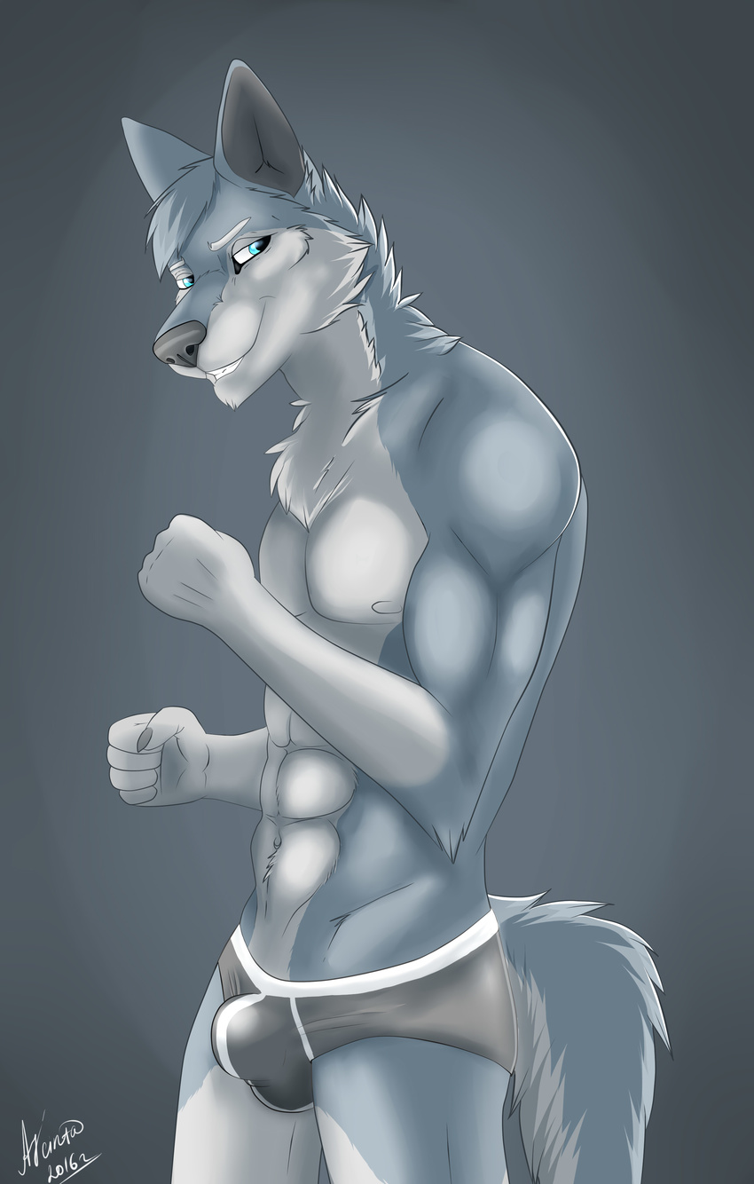 2016 5_fingers abs anthro black_nose blue_eyes bulge canine cinta clothing dog eyebrows fur grey_background grey_fur grey_hair hair husky looking_aside male mammal multicolored_fur muscular nails side_view simple_background smile solo standing teeth tight_underwear underwear white_fur