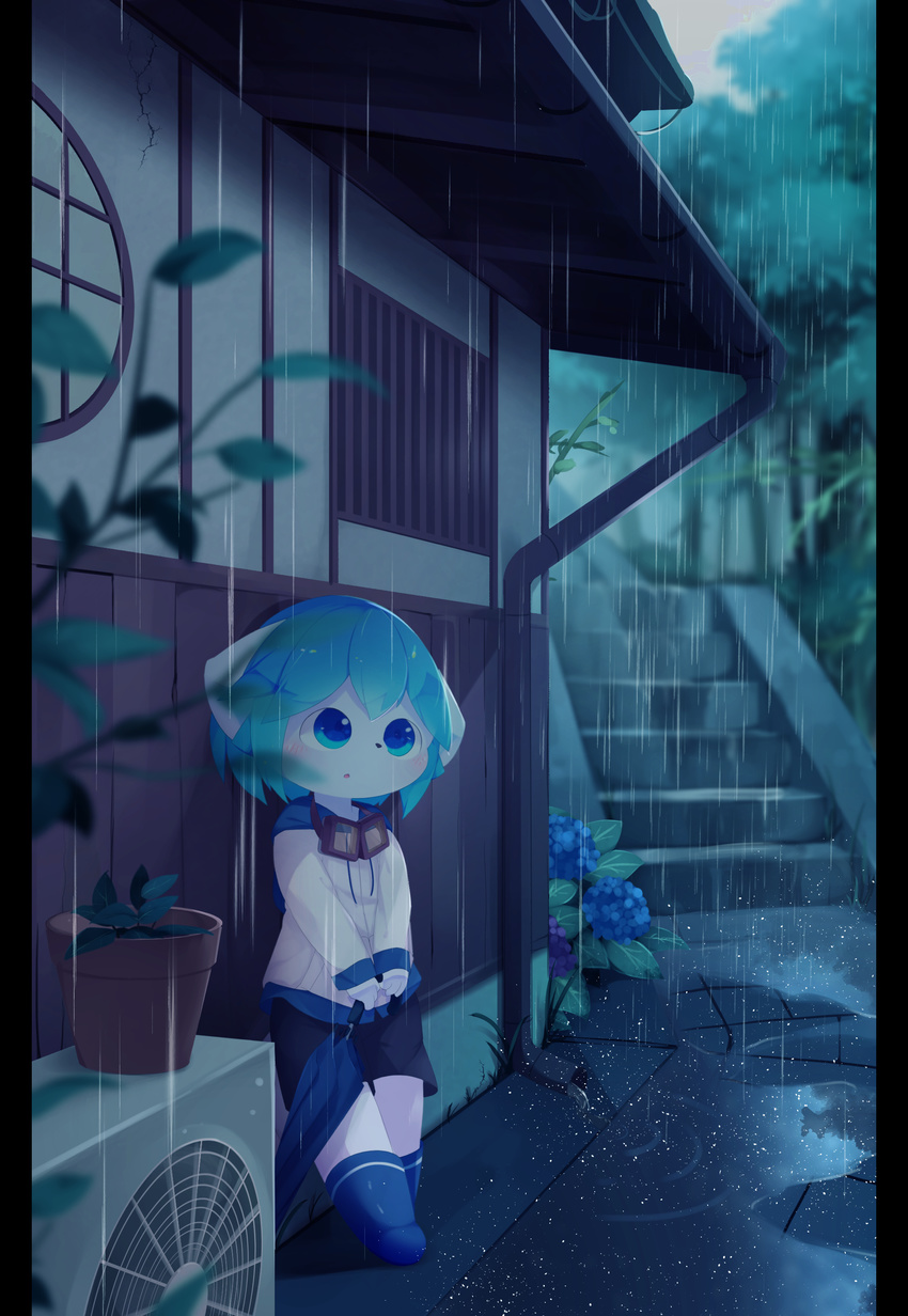anthro aoino blue_eyes blue_hair canine clothing cub cute detailed_background dog eyewear fur goggles hair hoodie kemono male mammal outside plant potted_plant raining rubber_boots shorts solo stairs umbrella white_fur young