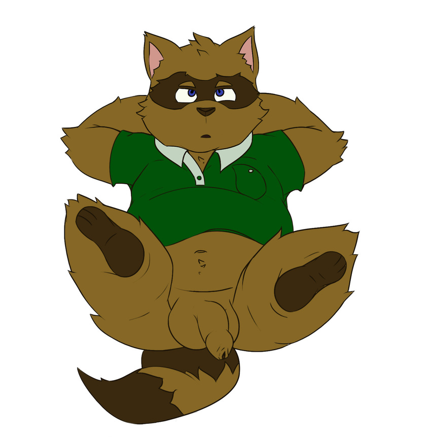 anthro claude male mammal raccoon simple_background slightly_chubby timothy_goes_to_school white_background