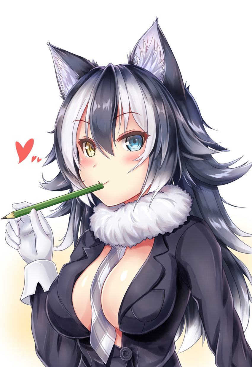 :&gt; absurdres animal_ears between_breasts black_hair black_jacket blue_eyes blush breast_pocket breasts cleavage closed_mouth detached_collar eyebrows_visible_through_hair fur_collar gloves gradient gradient_background gradient_hair grey_wolf_(kemono_friends) hair_between_eyes heart heterochromia highres holding holding_pencil jacket kemono_friends large_breasts long_hair long_sleeves multicolored_hair necktie necktie_between_breasts no_bra open_clothes open_jacket pencil plaid plaid_neckwear pocket rommeling shiny shiny_skin silver_hair solo upper_body white_background white_gloves wolf_ears yellow_eyes