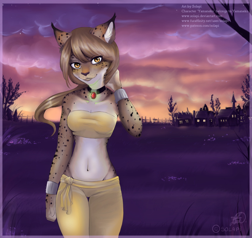 amber_eyes anthro bracelet clothed clothing collar detailed_background feline female glowing grass hair jewelry long_hair lynx mammal solapi_(artist) solo sunset thigh_gap tree village