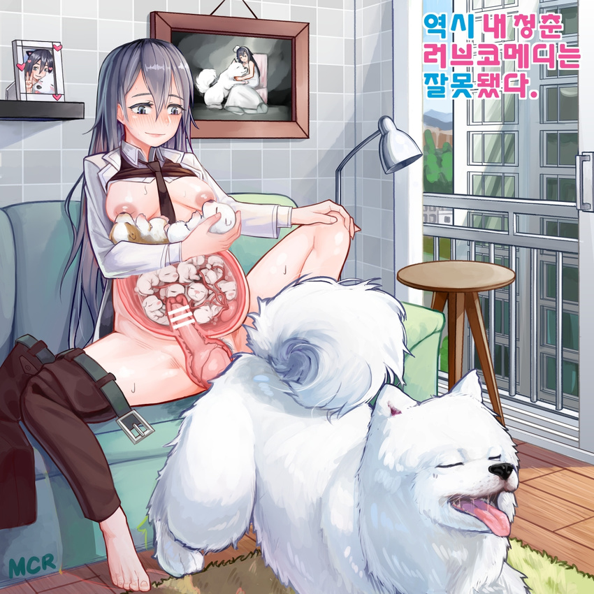 The Big ImageBoard TBIB  1girl artist request bestiality blush  