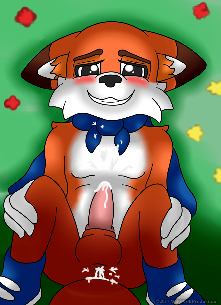 anus blush canine cape clothing cum cum_in_ass cum_inside cum_on_penis footwear fox lucky&acute;s_tale lucky_the_fox male mammal penis presenting shoes super super_lucky's_tale tale video_games wildwolfproduction