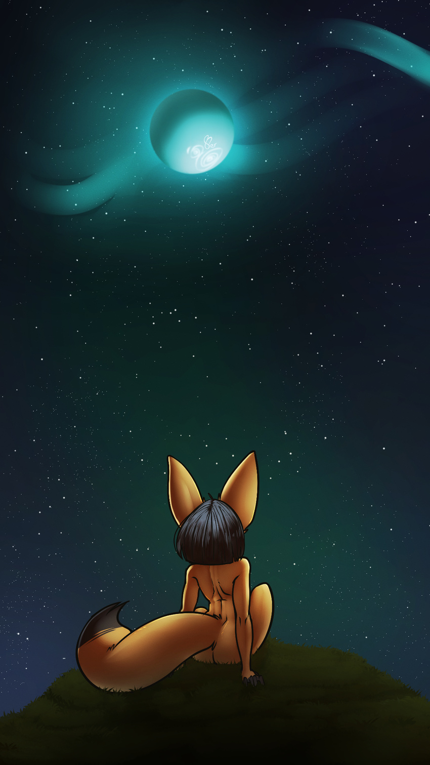 ambiguous_gender black_hair canine fenavi_montaro fennec feretta fox fur hair mammal moon night nude rear_view scenery sitting sky star tale_of_tails yellow_fur