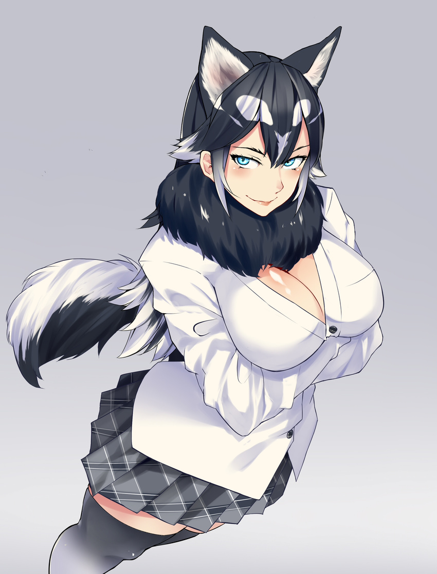 absurdres animal_ears black_hair black_legwear blazer blue_eyes blush body_blush bonkiru breasts closed_mouth commentary crossed_arms dog_ears dog_tail from_above fur_collar gradient gradient_background grey_background hair_between_eyes highres jacket kemono_friends large_breasts long_hair multicolored_hair original plaid plaid_skirt pleated_skirt shirt skirt smile solo standing tail thighhighs two-tone_hair very_long_hair white_hair white_shirt