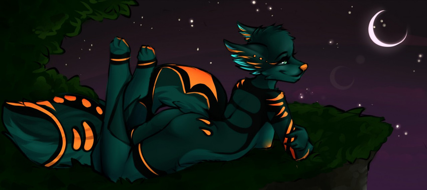anthro blue_eyes canine detailed_background eyelashes female grass lying mammal moon night nude orange_nose outside robyn_paperdoll sky smile solo star starry_sky