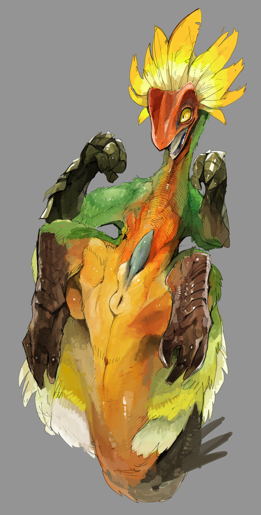 2015 3_toes 4_fingers anus balancing_on_tail bird_wyvern capcom claws crest dinosaur erection feathers feral great_maccao grey_background hi_res liteu male monster_hunter open_mouth penis puffy_anus scalie simple_background smile solo tapering_penis teeth theropod toe_claws toes tongue video_games yellow_eyes