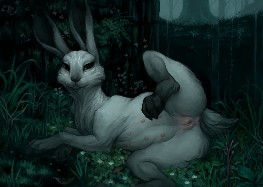 anus crookedtrees detailed_background female feral forest grass lagomorph looking_at_viewer lying mammal nature nipples outside presenting presenting_pussy pussy pussy_juice rabbit raised_leg solo teats tree water